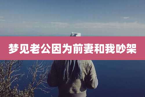 梦见老公因为前妻和我吵架
