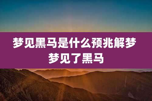 梦见黑马是什么预兆解梦 梦见了黑马