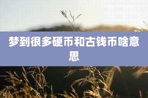 梦到很多硬币和古钱币啥意思