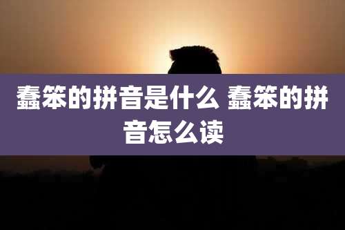 蠢笨的拼音是什么 蠢笨的拼音怎么读