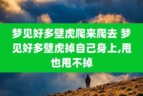 梦见好多壁虎爬来爬去 梦见好多壁虎掉自己身上,甩也甩不掉