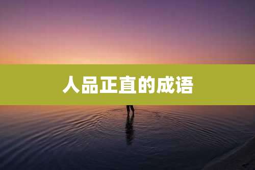 人品正直的成语