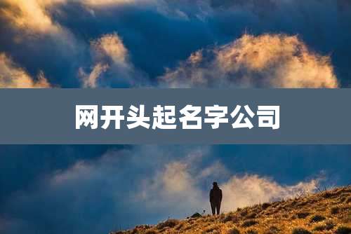 网开头起名字公司