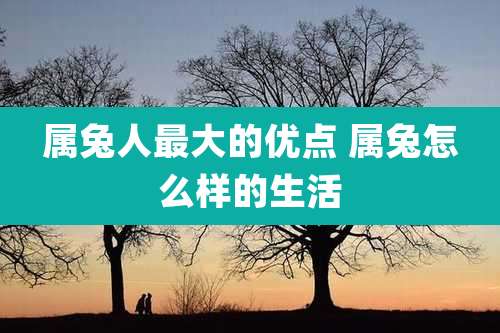 属兔人最大的优点 属兔怎么样的生活