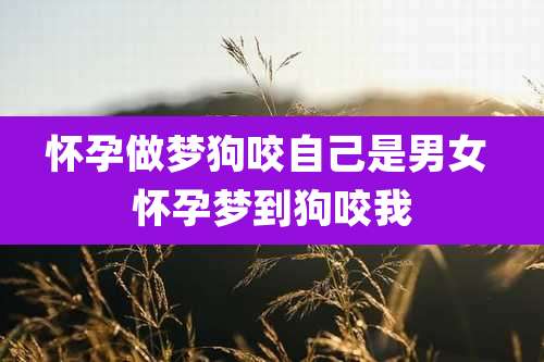 怀孕做梦狗咬自己是男女 怀孕梦到狗咬我