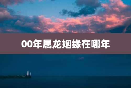 00年属龙姻缘在哪年
