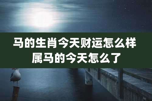 马的生肖今天财运怎么样 属马的今天怎么了