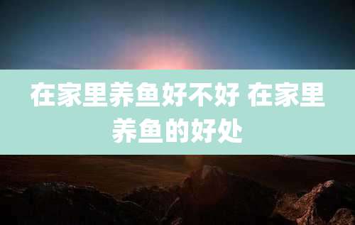 在家里养鱼好不好 在家里养鱼的好处
