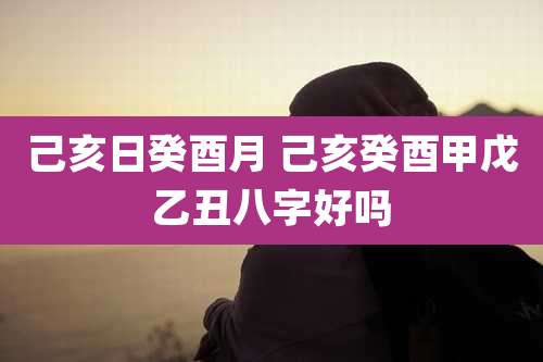 己亥日癸酉月 己亥癸酉甲戊乙丑八字好吗