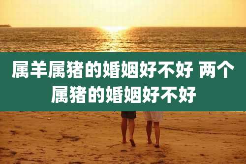 属羊属猪的婚姻好不好 两个属猪的婚姻好不好