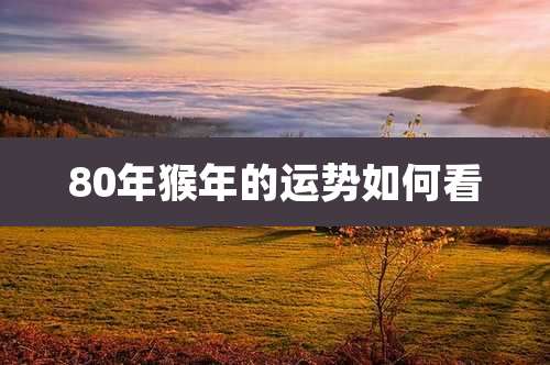 80年猴年的运势如何看