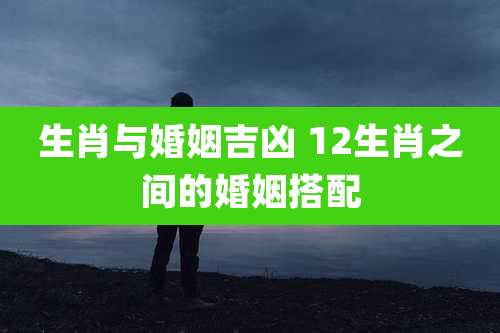 生肖与婚姻吉凶 12生肖之间的婚姻搭配