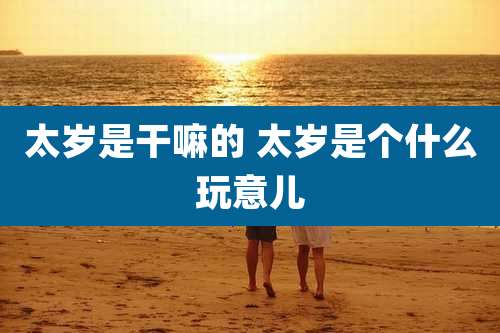 太岁是干嘛的 太岁是个什么玩意儿