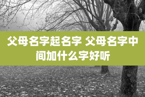 父母名字起名字 父母名字中间加什么字好听