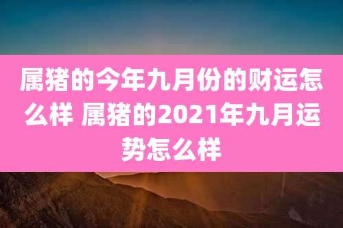 属猪的今年九月份的财运怎么样 属猪的2021年九月运势怎么样