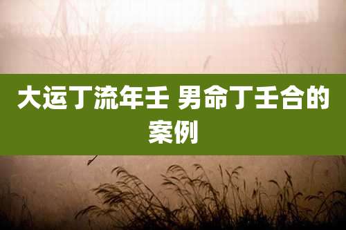 大运丁流年壬 男命丁壬合的案例