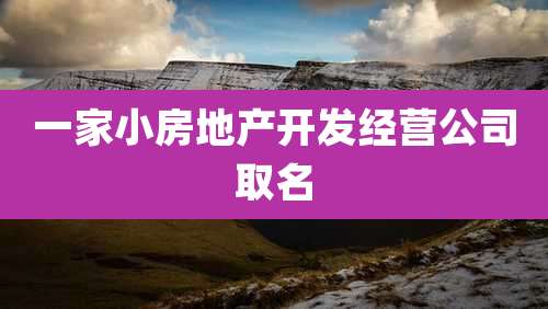一家小房地产开发经营公司取名