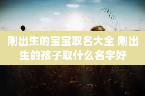 刚出生的宝宝取名大全 刚出生的孩子取什么名字好