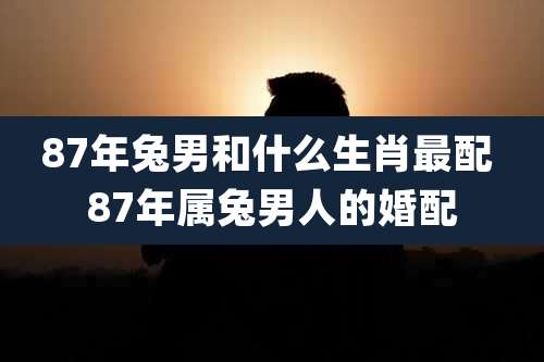 87年兔男和什么生肖最配 87年属兔男人的婚配
