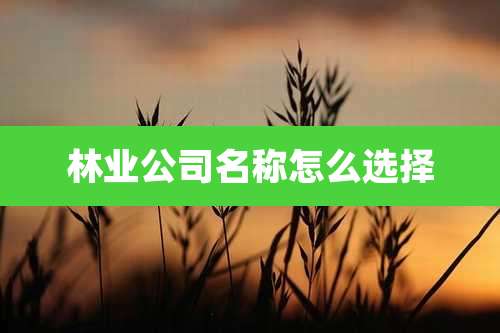 林业公司名称怎么选择