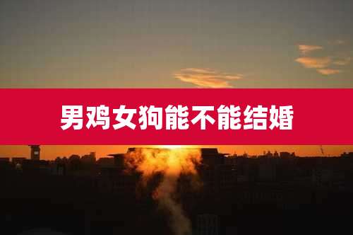 男鸡女狗能不能结婚