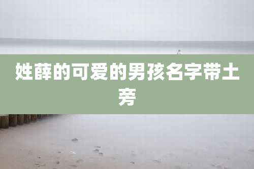 姓薛的可爱的男孩名字带土旁