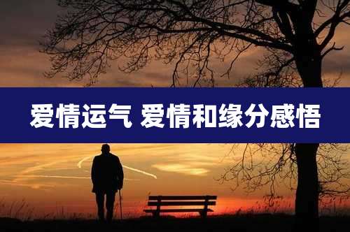爱情运气 爱情和缘分感悟