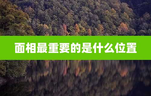 面相最重要的是什么位置
