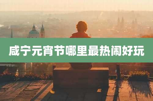 咸宁元宵节哪里最热闹好玩