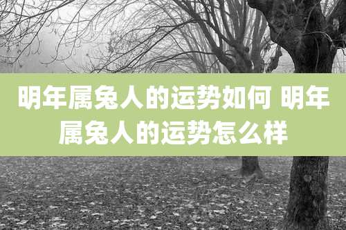 明年属兔人的运势如何 明年属兔人的运势怎么样