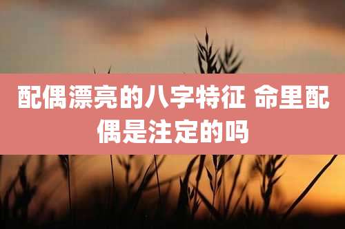 配偶漂亮的八字特征 命里配偶是注定的吗