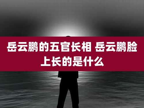 岳云鹏的五官长相 岳云鹏脸上长的是什么