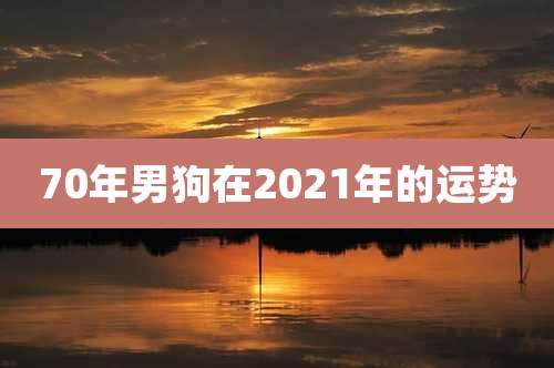 70年男狗在2021年的运势