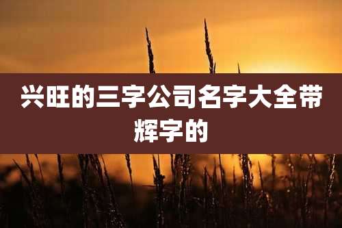 兴旺的三字公司名字大全带辉字的