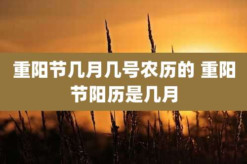 重阳节几月几号农历的 重阳节阳历是几月