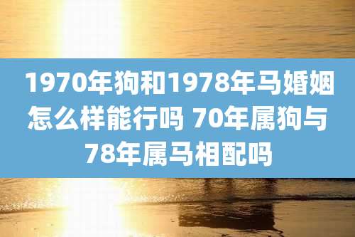 1970年狗和1978年马婚姻怎么样能行吗 70年属狗与78年属马相配吗
