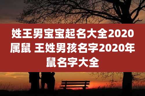 姓王男宝宝起名大全2020属鼠 王姓男孩名字2020年鼠名字大全