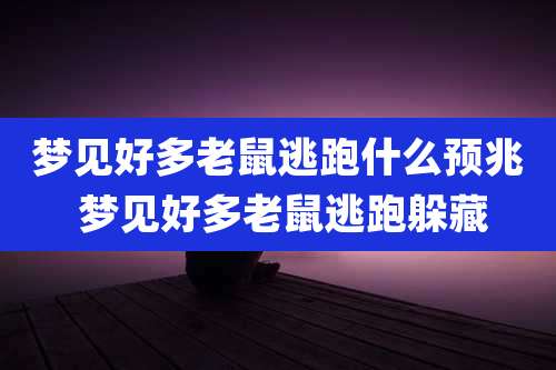 梦见好多老鼠逃跑什么预兆 梦见好多老鼠逃跑躲藏