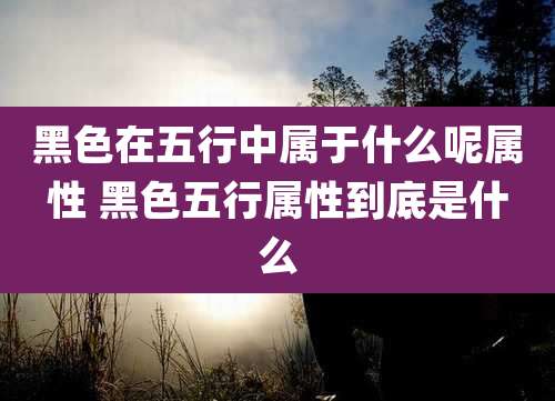 黑色在五行中属于什么呢属性 黑色五行属性到底是什么