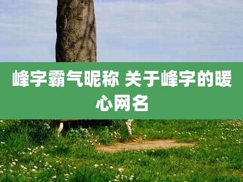 峰字霸气昵称 关于峰字的暖心网名