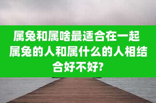 属兔和属啥最适合在一起 属兔的人和属什么的人相结合好不好?