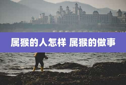 属猴的人怎样 属猴的做事