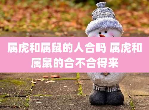 属虎和属鼠的人合吗 属虎和属鼠的合不合得来