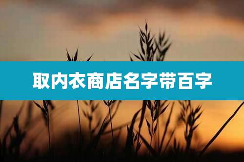 取内衣商店名字带百字