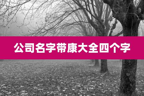 公司名字带康大全四个字