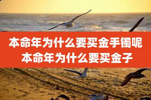 本命年为什么要买金手镯呢 本命年为什么要买金子