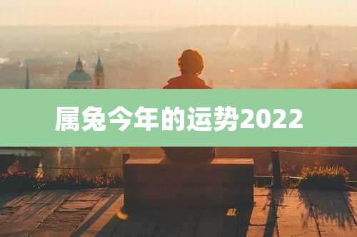 属兔今年的运势2022