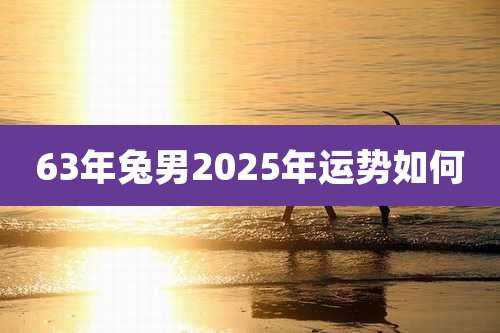 63年兔男2025年运势如何