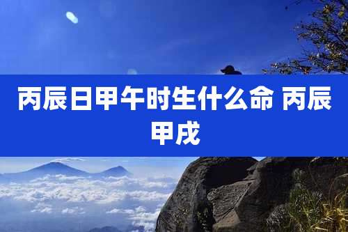 丙辰日甲午时生什么命 丙辰甲戌