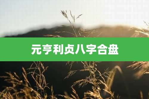元亨利贞八字合盘